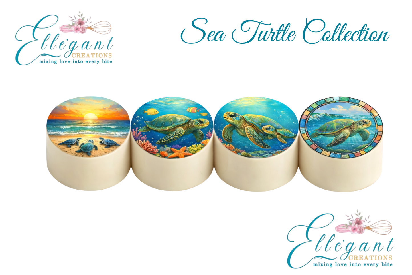 Sea Turtle Collection