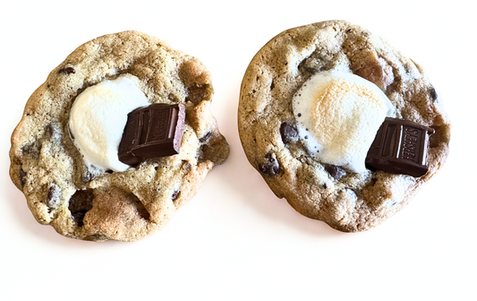 Campfire S’mores